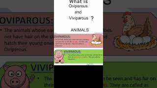 What is Oviparous and Viviparous animals3 10th Class syllabus and GK amp Current affairs points [upl. by Aracaj]