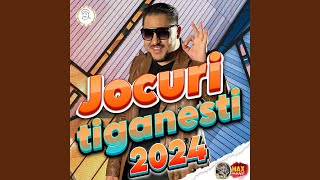 Jocuri tiganesti 2024 [upl. by Ahslek]