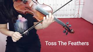 The Corrs  quotToss The Feathersquot Violin Cover [upl. by Nybor]