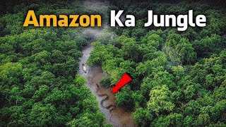 😨Horror Secrets of Amazon forest l Amazon ka jungle l 🌳 [upl. by Nosyd]