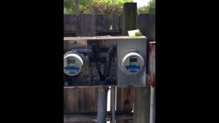 Crazy Lizard Ruins Air Conditioning and Electrical Panel 100 Amp Fuse Box Delray Beach [upl. by Yrrak308]