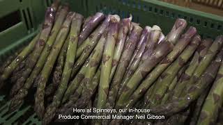 From Field to Feast The Story Behind Wye Valleys Finest Asparagus [upl. by Gustin]