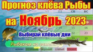 Календарь рыбака на Ноябрь Прогноз клева на неделю Лунный календарь рыбака 2023 [upl. by Nichy]