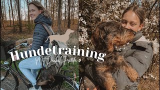 Hundetraining mit Dackel Frieda Teil 3 [upl. by Collar923]