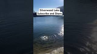 Silverwood Lake fishing trout truchas [upl. by Rabjohn802]