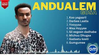 Andualem Gosa Best Music Collection [upl. by Nyvets]