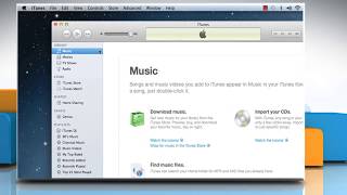 iTunes® Media Folder  Finding and Moving the iTunes® Files on Mac® OS X™ [upl. by Spearing891]