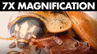 Handheld Macro Photography at 7x magnification – Possible or not [upl. by Deedee]