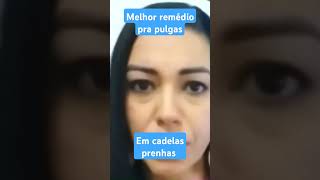 Remédio pra pulgas em cadelas prenhas saudepet pets cuidadopet cachorro [upl. by Remmus]