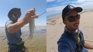 Flats Fishing For Yellowfin Whiting [upl. by Onairelav]