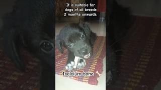 Is calcium bone good for dogs  please comment calcium breeds cutepuppy dogfoods subscribe [upl. by Anthe]