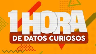 1 HORA de DATOS CURIOSOS⏰🤯 [upl. by Subir]