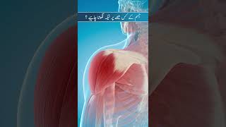 Jisam Ky Kis Hissay Per Injection Lagwana Chahiye  Where Should You Get an Injection Injection [upl. by Kcinemod261]