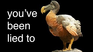 The REAL reason The Dodo Went Extinct [upl. by Everara]