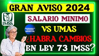 🔊✨MIRALO RAPIDO🎉 Entérate si habrá cambios por ley 73 del IMSS por SALARIO MI NIMO VS UMA´S [upl. by Rolyt925]