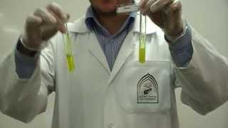 Picric Acids test Part 2 to differentiate between Gelatin amp peptone [upl. by Ykroc]