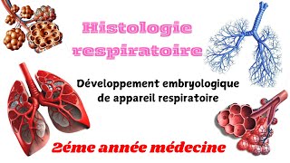 HISTOLOGIE RESPIRATOIRE  Dévlopement embryologique de appareil respiratoire 2éme année médecine [upl. by Otero]