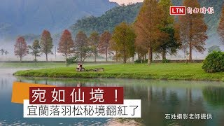 宛如仙境！宜蘭3大落羽松秘境換裝紅了 [upl. by Schwerin]