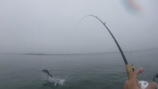 Catching a BIG SALMON with my BARE HANDS  Monterey Bay Salmon Fishing [upl. by Chabot636]