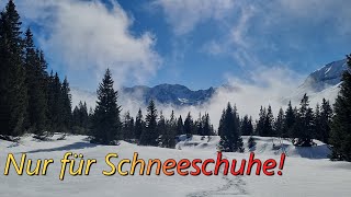 Schneeschuhtour Tormetz [upl. by Raamaj846]