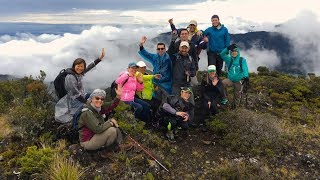 Cumbres Cerro de la Muerte  Hiking Costa Rica  ESCAOUT [upl. by Sherar]