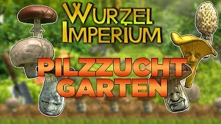 1 Million pro Woche  Pilzzucht Guide für Einsteiger  Wurzelimperium Deutsch [upl. by Remsen]