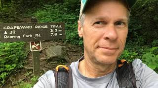 Grapeyard Ridge Trail HikeGreat Smoky Mountains National Park [upl. by Salazar363]