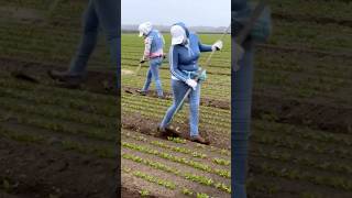 Que habilidad agriculturetechnology farming women skills [upl. by Etnoed]