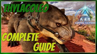 Thylacoleo Complete Guide  Ark Survival Ascended [upl. by Notyep]