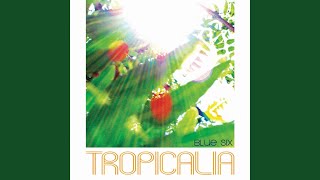 Tropicalia Erics 5rw Vocal [upl. by Notsag]