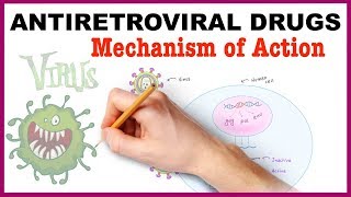 Antiretroviral Drugs Pharmacology  Mechanism of Action [upl. by Enait]