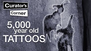 5000yearold tattoos from Ancient Egypt I Curators Corner S3 Ep6 CuratorsCorner [upl. by Blane30]