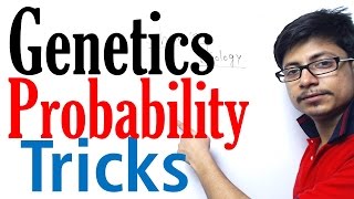 How to solve genetics probability problems [upl. by Nomolos999]