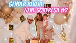 GENDER REVEAL NENE SORPRESA 2 Karlis Romero y Gustavo Elis [upl. by Arytahs]