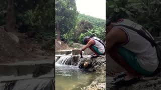 Stress reliever❤️ katuwaanvlog nature videography [upl. by Grimaud317]