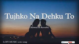 Tujhko Na Dekhun  Slowed And Reverb trending lofi bollywoodslowed slowedandreverb lyrics [upl. by Winograd588]