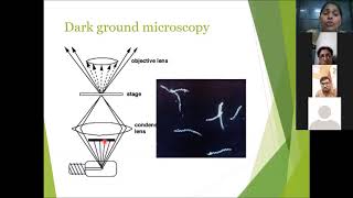 Dark ground microscopy [upl. by Middle]