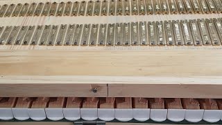 Harmonium Reeds lnstallationyoutubevideosReeds installation in Harmonium stepbystepHarmonium parts [upl. by Carmine]