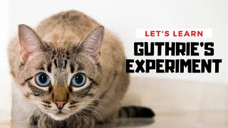 Lets learn Guthries Experiment [upl. by Komara975]