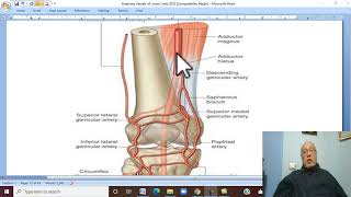 Musculoskeletal Module Anatomy of Lower Limb in Arabic 33  Popliteal artery [upl. by Erma254]