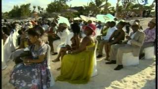 Full VIDEO Celebrities and Malema at David Mabilus Mauritius wedding [upl. by Reneta]