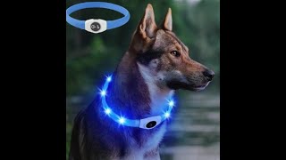 Expert Dog Trainer Recommends THIS Led Luminous Dog Collar 🐶🐕‍🦺🐩 [upl. by Levinson757]