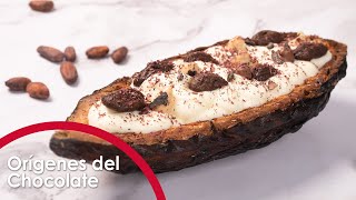 ORÍGENES DEL CHOCOLATE  Especialistas en Postres 🍰 [upl. by Htevi]