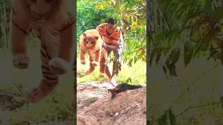 Toy tiger sleeping 😴 dog reaction waiting for and 😱 funny dogprankcomedy faketigerprankcomedy [upl. by Denman]