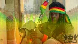 Reggae Mix Roots Roots By Iron Heart Sound amp Chessman Records [upl. by O'Donovan354]