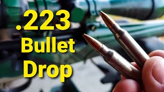 223 Bullet Drop  Demonstrated and Explained [upl. by Ozan]