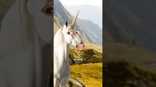 🦄 EINHORN darf nicht auf Arche Noah [upl. by Kristopher260]