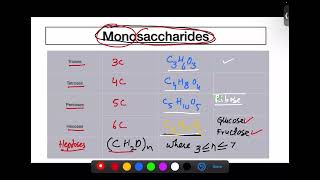 Monosaccharides and Disaccharides [upl. by Millur]