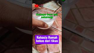 KreatifRahasia rumah benas dari tikus kreatif education information tips shorts [upl. by Knowlton351]