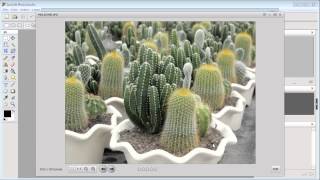 What can I do with the Browser feature in ArcSoft PhotoStudio [upl. by Nolrev]